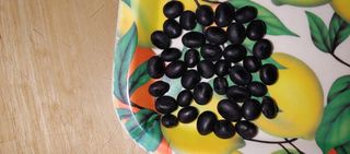 최용운님의 콩 · 자유게시판 작성글 사진