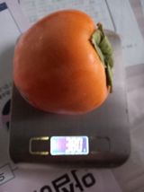 팜모닝 감·자유게시판 게시글 이미지