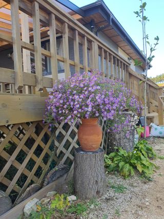 인생을사노라면님의 자유주제 · 자유게시판 작성글 사진