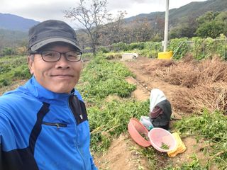 천지현황님의 마늘 · 토양준비 작성글 사진