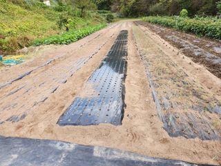 kis님의 자유주제 · 자유게시판 작성글 사진