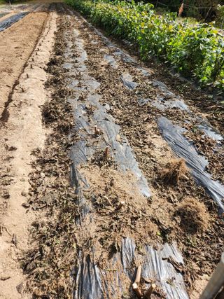 kis님의 자유주제 · 자유게시판 작성글 사진