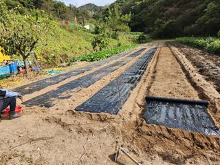 kis님의 자유주제 · 자유게시판 작성글 사진