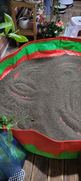 팜모닝 들깨·영농일지 게시글 이미지