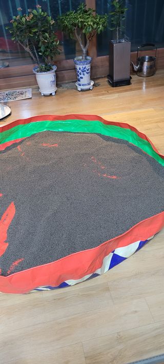 살구15128님의 들깨 · 영농일지 작성글 사진