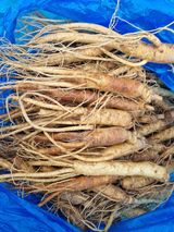 팜모닝 · 게시글 이미지