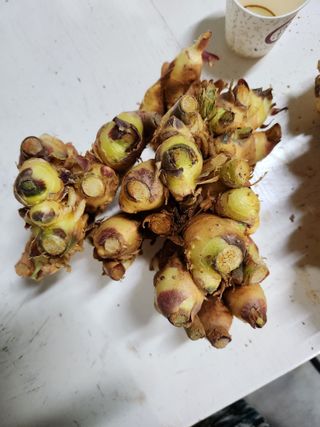 최승일님의 작성글 사진