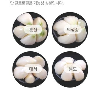 오남현님의 요즘 뜨는 신품종은? 💬 · 참여글 작성글 사진