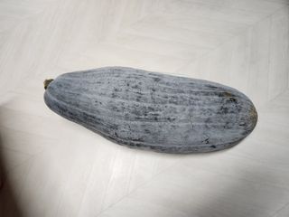 김효중님의 자유주제 · 자유게시판 작성글 사진