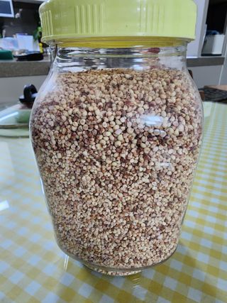 초록봉님의 들깨 · 자유게시판 작성글 사진