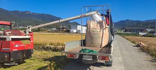 사천시향촌동 돼지띠님의 벼 · 자유게시판 작성글 사진