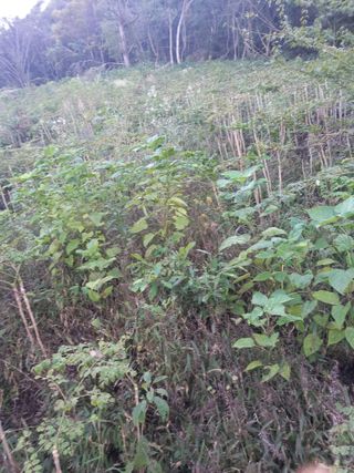 김낙성님의 작성글 사진