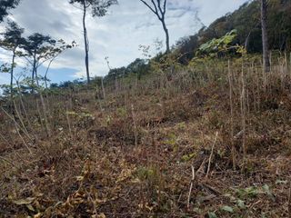 김낙성님의 작성글 사진