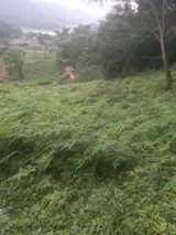 팜모닝 · 게시글 이미지