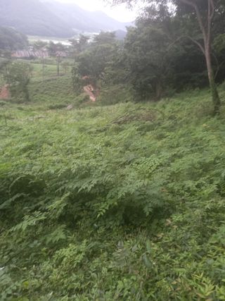 김낙성님의 작성글 사진