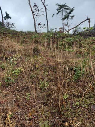 김낙성님의 작성글 사진