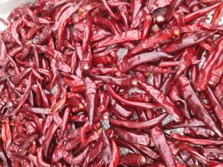 하동베리굿베리팜님의 고추 · 영농일지 작성글 사진