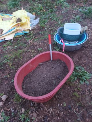 유외선님의 들깨 · 자유게시판 작성글 사진