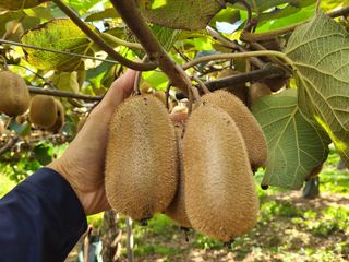 노고단님의 기타작물 · 자유게시판 작성글 사진