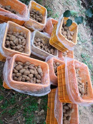 노고단님의 기타작물 · 자유게시판 작성글 사진