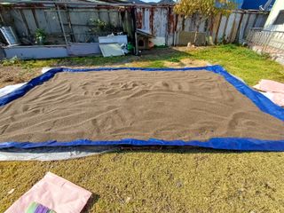 박영선님의 콩 · 영농일지 작성글 사진