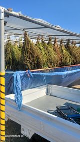 팜모닝 들깨·자유게시판 게시글 이미지