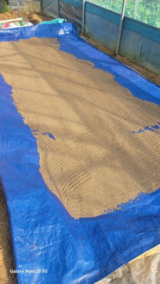 제주농부님의 들깨 · 자유게시판 작성글 사진