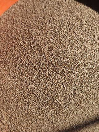 장희정 님의 작성글 사진