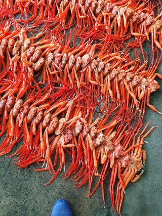 노가네수산님의 우리동네 · 동네정보 작성글 사진