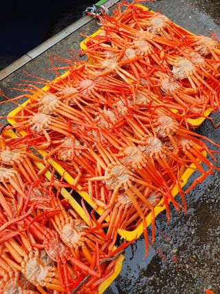 노가네수산님의 우리동네 · 동네정보 작성글 사진