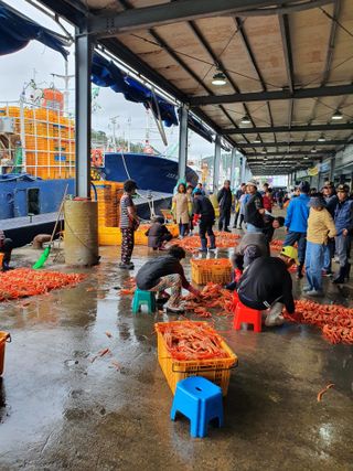 노가네수산님의 우리동네 · 동네정보 작성글 사진
