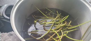 김정은님의 고구마 · 영농일지 작성글 사진