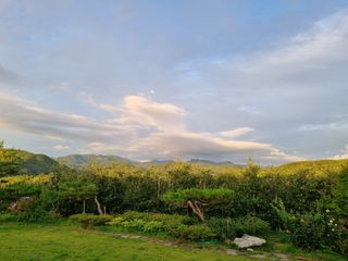 조순자님의 작성글 사진