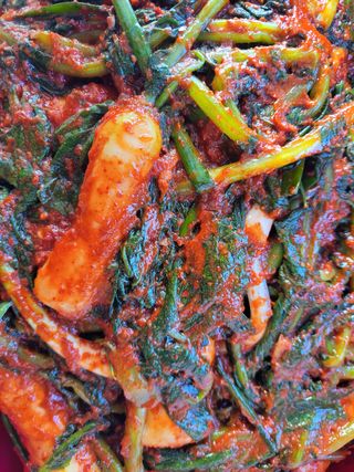 조현미님의 고구마 · 영농일지 작성글 사진