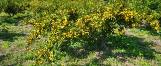 이병현님의 자유주제 · 자유게시판 작성글 사진