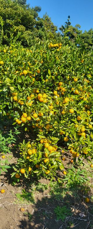 이병현님의 자유주제 · 자유게시판 작성글 사진