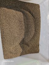 팜모닝 들깨·자유게시판 게시글 이미지