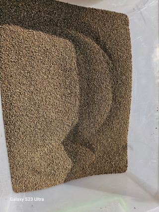 김윤숙님의 들깨 · 자유게시판 작성글 사진