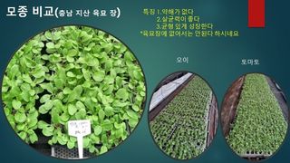 김둘점님의 작성글 사진