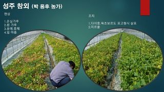 김둘점님의 작성글 사진