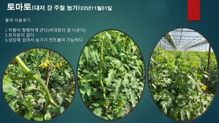 김둘점님의 작성글 사진