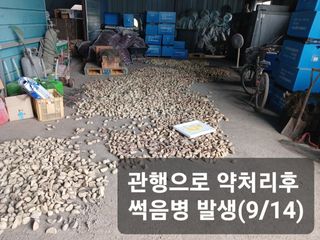 김둘점님의 작성글 사진