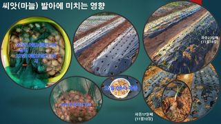 김둘점님의 작성글 사진