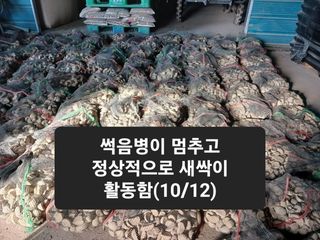 김둘점님의 작성글 사진