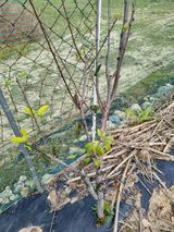 팜모닝 자유주제·자유게시판 게시글 이미지