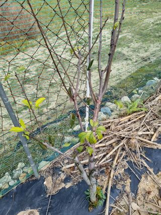 호미대장님의 자유주제 · 자유게시판 작성글 사진