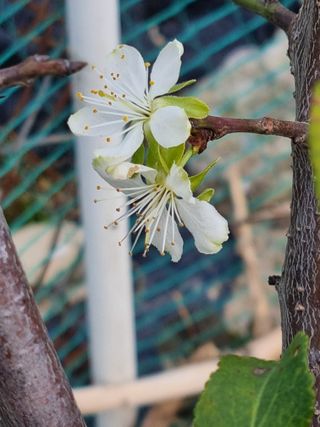 호미대장님의 자유주제 · 자유게시판 작성글 사진