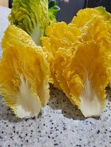 팜모닝 자유주제·자유게시판 게시글 이미지