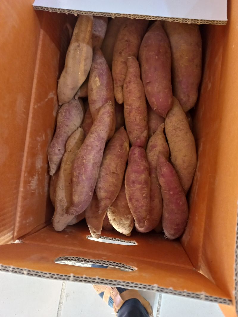 장터 상품 [고구마10키로] 썸네일