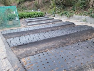 낙엽교목류14371님의 양배추 · 영농일지 작성글 사진